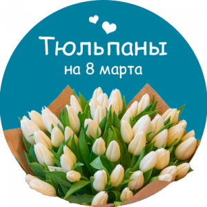 Купить тюльпаны в Каменногорске